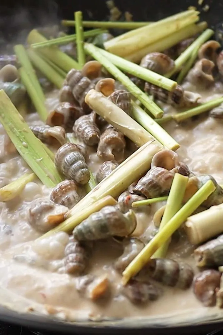 ốc len xào dừa