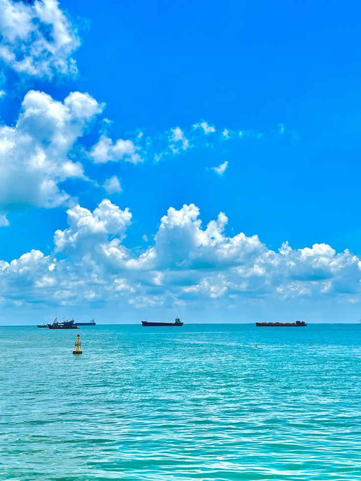 biển vũng tàu