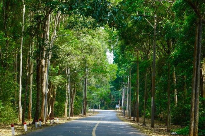 Rừng Bình Châu Phước Bửu