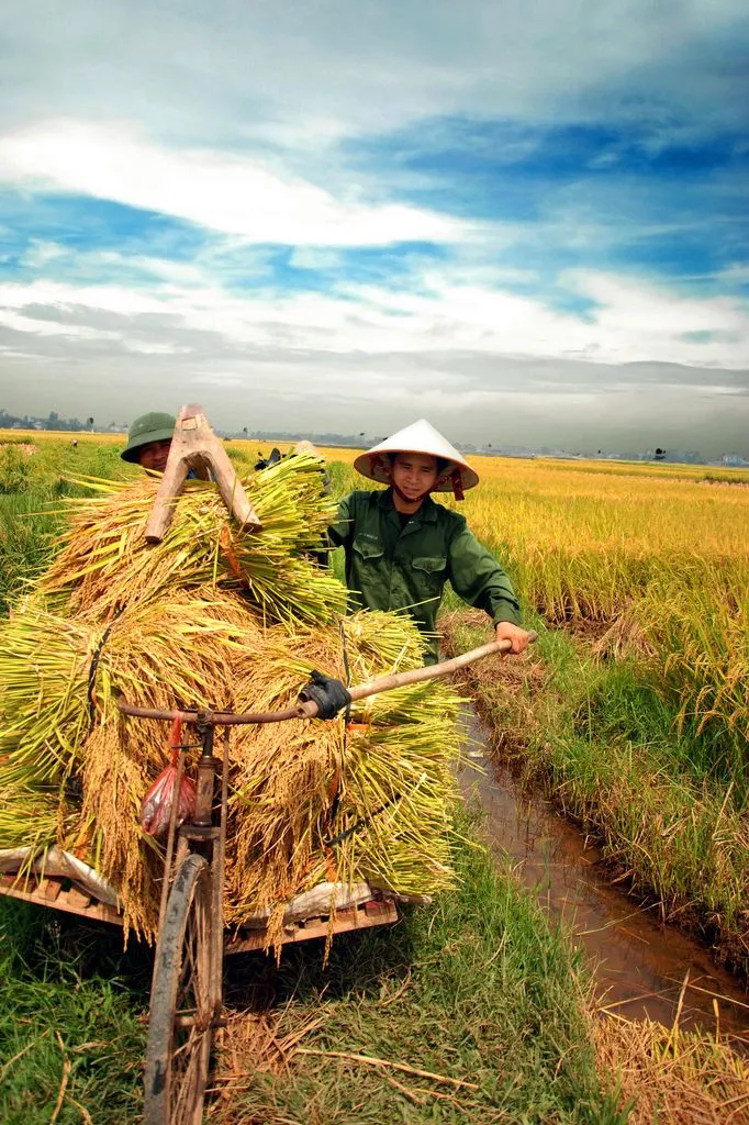 du lịch việt nam theo mùa