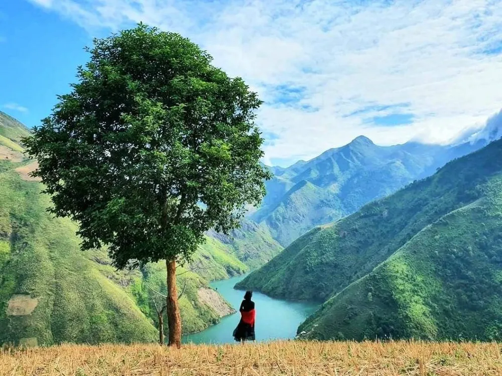 săn mây Tà Xùa